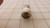 AMPHENOL M39012/01-0005 74868 82-4352 RECEPTACLE CONNECTOR T30740