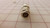 AMPHENOL M39012/01-0005 74868 82-4352 RECEPTACLE CONNECTOR T30740
