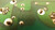 84-80394A25 1-80303A11 CIRCUIT BOARD T29152