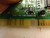 800-C3703J-A30 5064-2620 D5182-63001 SOUND CARD T35409
