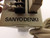 SANYO DENKI RBB2C-101 BL SUPER ROBUSTSYN SERVO DRIVE T41787