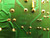 32-0123-C 20-2426 CIRCUIT BOARD T42759