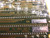 ATLANTIC RESEARCH CORP TP-951-PC4-81141 PL-951-02-1 CIRCUIT BOARD T44219
