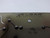 ELGAR 19 100 21 307004-26 620-21-44 AMP BOARD T48785