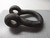 TAIYO 42000 LBS 1-1/4 MILITARY SHACKLE T49614
