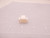 LOT OF 250 TE CONNECTIVITY 770034-1 CONNECTORS T75782 LOT OF 250 TE CONNECTIVITY 770034-1 CONNECTORS T75782