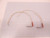 LOT OF 2 WATLOW HEATING ELEMENT 120V 200 WATT FIRE ROD T72450