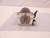 ORIENTAL MOTOR VEXTA PH599-B 5-PHASE STEPPING MOTOR T73107 ORIENTAL MOTOR VEXTA PH599-B 5-PHASE STEPPING MOTOR T73107