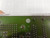 OPTO 22 620-81V CIRCUIT BOARD T73535