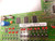 4022 230 16641 D001670 CIRCUIT BOARD T76664