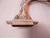 ITT 95 28-041 MDM-100SN00 16P-1A174 CONNECTOR T78725