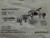 BRAD CONNECTIVITY C28200N0R 1212010001 CIRCULAR DIN CONNECTORS TYPE A 2P FULL ASM BLACK T87309
