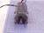 VEXTA A3862-9215N STEPPER MOTOR 5 PHASE T98279