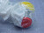 RMS CONNECTORS BACC63CC18-31P6H CIRCULAR MIL SPEC CONNECTOR 26500 31 C 31# 20 P BY RECP LC T119468 RMS CONNECTORS BACC63CC18-31P6H CIRCULAR MIL SPEC CONNECTOR 26500 31 C 31# 20 P BY RECP LC T119468