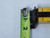 STI MS4316B-2 MINISAFE-B LIGHT CURTAIN TRANSMITTER T126707
