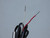 TYPE J INDUSTRIAL THERMOCOUPLE PROBE 19-1/4" LONG T139745