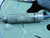 FIBER SYSTEM CSC/1U7X7/G5003A-40 TFOCA-11 2 CH FIBER OPTIC CABLE ASSEMBLY T152840