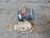 FOXBORO 823DP-I3S1SH2-Y PRESSURE TRANSMITTER T159001