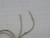 PETS BBX11086 HEATING ELEMENT 500W 240V HW T175602
