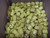 LOT OF 700 MOLEX 1301800270 00-4514 MALE (781) RUBBER HUSK-YELLOW T174263