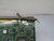 NORTEL MERIDIAN NTBX0103 INTERFACE CARD MODULE T180311