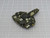 100008343  PC Circuit Board   For Sale 100008343  PC Circuit Board   For Sale