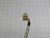 POWERMAX II M22NSHB-LNN-N2-02 STEP MOTOR 24V T185161