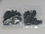 LOT OF 30 ADC 300900111174 CONNECTORS T204831 LOT OF 30 ADC 300900111174 CONNECTORS T204831