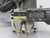 ELECTRO-CRAFT 47604601 AC SERVO MOTOR T206034