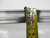 INA KWVE 35 V1 54 LINEAR RAIL WITH 3 BLOCK BEARINGS, 1695 MM LONG M4549