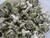 LOT OF 40 TE CONNECTIVITY 1-5227079-6 BNC PLUG DUAL CRIMP CONNECTOR
 T219856 LOT OF 40 TE CONNECTIVITY 1-5227079-6 BNC PLUG DUAL CRIMP CONNECTOR
 T219856