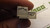 LOT OF 100 WAGO 734-304 TERMINAL BLOCKS T21805