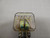 LOT OF 5 SQUARE D 8501KUD13M1P14V53 RELAYS W/ SOCKET T59618