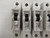 LOT OF 5 SIEMENS 5SX21 C10 CIRCUIT BREAKERS T59466