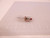 LOT OF 9 GTL3 58-AYF GERMICIDAL LIGHT BULBS
