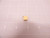 LOT OF 500 CLAROSTAT 364X100K CLARO222 RES CERMET TRIMMER 100K OHM 10% 0.5W(1/2W) 25(ELEC)TURN 2.03MM (9.53 X 11.05 X 4.83MM) PIN THRU-HOLE T79286 LOT OF 500 CLAROSTAT 364X100K CLARO222 RES CERMET TRIMMER 100K OHM 10% 0.5W(1/2W) 25(ELEC)TURN 2.03MM (9.53 X 11.05 X 4.83MM) PIN THRU-HOLE T79286