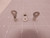 LOT OF 490 MOLEX 625-6240 LP118468 TERMINALS T83794