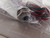 BRAD CONNECTIVITY 1200740088 7R3B00A17F090 MICRO-CHANGE RECEPTACLE 3P FEMALE STRAIGHT INT T88660