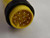 BRAD CONNECTIVITY 1300120185 332020K04F200 MINI-CHANGE ASSEMBLIES 12P MALE / FEMALE ST/ST T88672 BRAD CONNECTIVITY 1300120185 332020K04F200 MINI-CHANGE ASSEMBLIES 12P MALE / FEMALE ST/ST T88672