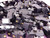 LOT OF 50 MICRO SWITCH BZ-7RWT822101 BASIC / SNAP ACTION SWITCHES BASIC SW SPDT 15 A 250VAC ROLLER LEVER T102852 LOT OF 50 MICRO SWITCH BZ-7RWT822101 BASIC / SNAP ACTION SWITCHES BASIC SW SPDT 15 A 250VAC ROLLER LEVER T102852