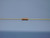 CADDOCK MS151-3.01K-1% THROUGH HOLE RESISTORS 3.01 K OHMS +-1 % T137721