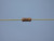 CADDOCK MS214-499K-1% THROUGH HOLE RESISTORS 499 K OHMS +-1 % T137738
