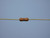 CADDOCK MS214-4K-1% THROUGH HOLE RESISTORS 4 K OHMS 1 % T137739