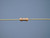 CADDOCK MS151-1.21K-0.1% THROUGH HOLE RESISTORS 1.21 K OHMS +-0.1 % T137717