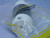 LOT OF 2 WOODHEAD 5269 NEMA 5-15R 15A 125V
CONNECTOR SAFEWAY T139007 LOT OF 2 WOODHEAD 5269 NEMA 5-15R 15A 125V
CONNECTOR SAFEWAY T139007