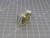 Lot of 50 Eagle Signal 16Q1CD024  Relay For Sale
