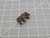 HONEYWELL 41SM2-T BASIC / SNAP ACTION SWITCH T156615 HONEYWELL 41SM2-T BASIC / SNAP ACTION SWITCH T156615