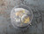 MERCOID DPS-233-2-62 DOUBLE BELLOWS DIFFERENTIAL PRESSURE SWITCH T159096 MERCOID DPS-233-2-62 DOUBLE BELLOWS DIFFERENTIAL PRESSURE SWITCH T159096