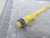 BRAD CONNECTIVITY 1300060216 103000A01F020 ACTUATOR CABLE MC 3P FP 2 IN 16/3 PVC T165806 BRAD CONNECTIVITY 1300060216 103000A01F020 ACTUATOR CABLE MC 3P FP 2 IN 16/3 PVC T165806