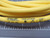 BALLUF BCC01E1 C04AEL00VY050M8 SINGLE ENDED CORDSET T165875 BALLUF BCC01E1 C04AEL00VY050M8 SINGLE ENDED CORDSET T165875